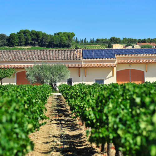 Le domaine de la semaine - Elodie Balme